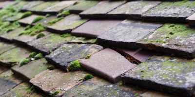 Upper Dean roof repair costs